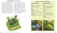 The First-Time Gardener: Raised Bed Gardening