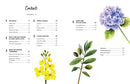 Drawing and Painting Beautiful Flowers