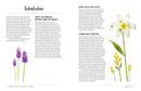 Drawing and Painting Beautiful Flowers