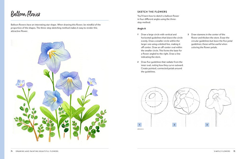 Drawing and Painting Beautiful Flowers
