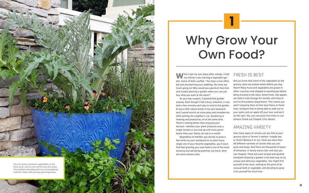 The First-Time Gardener: Container Food Gardening