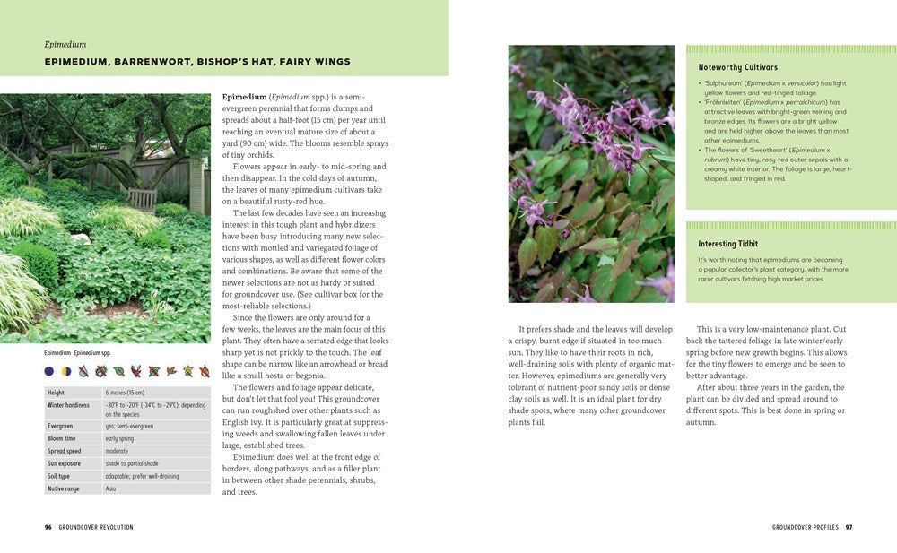 Groundcover Revolution