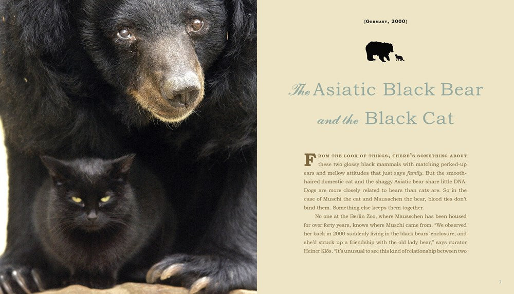 Unlikely Friendships: 47 Remarkable Stories from the Animal Kingdom