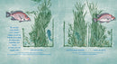 Sea Horse: The Shyest Fish in the Sea