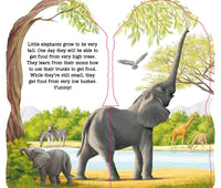 Little Elephant