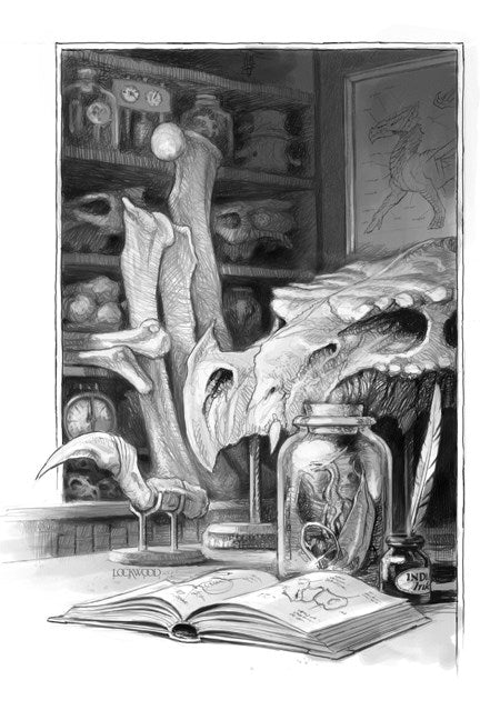 A Natural History of Dragons