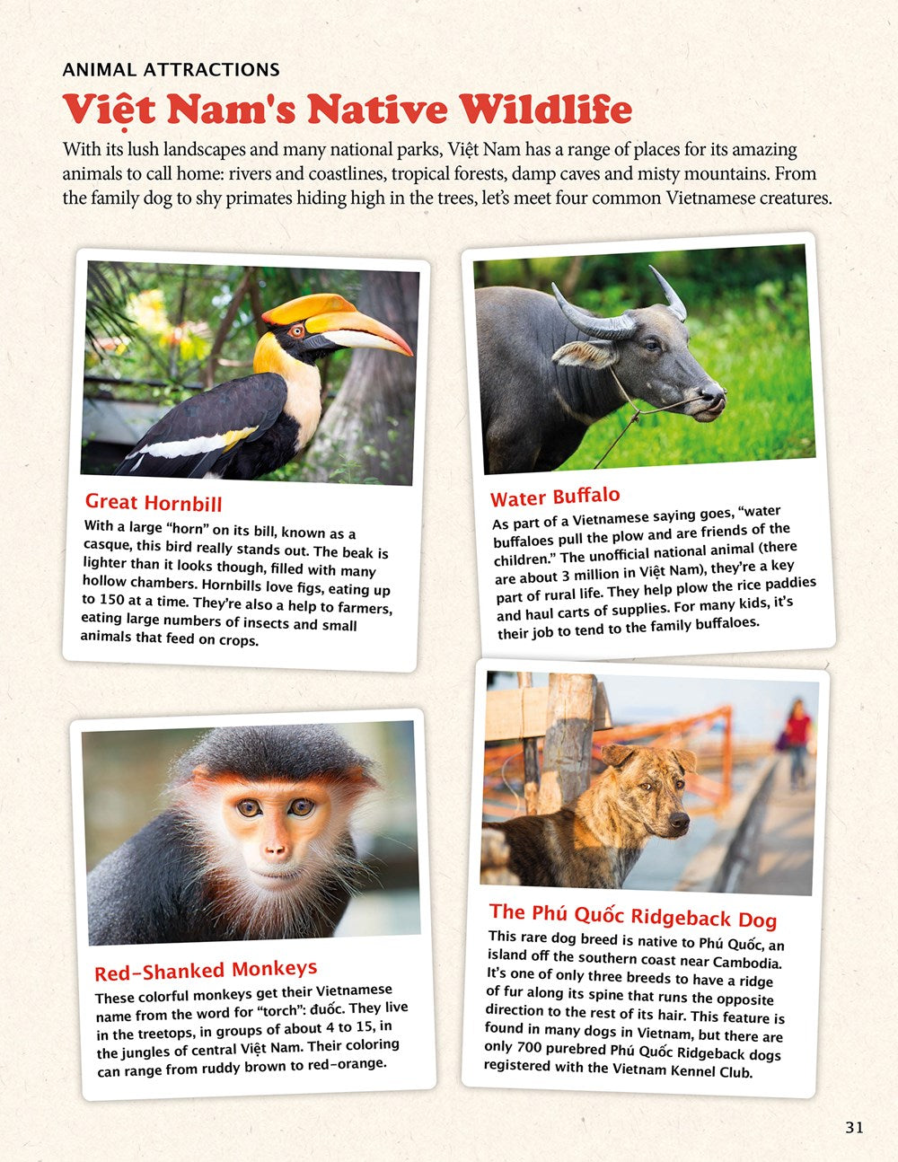 All About Vietnam: Projects & Activities for Kids