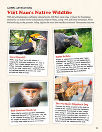 All About Vietnam: Projects & Activities for Kids
