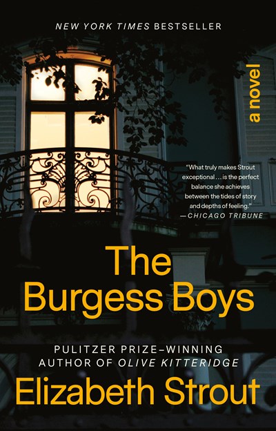 The Burgess Boys: A Novel