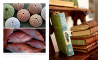 India Hicks: Island Style