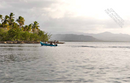 Island Whimsy