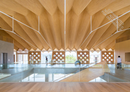 Shigeru Ban: Timber in Architecture