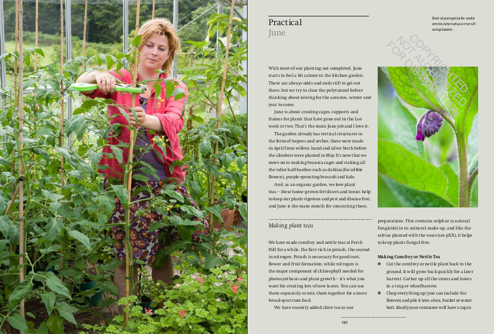 A Year in the Edible Garden: A Month-by-Month Guide to Growing and Harvesting Vegetables, Herbs, and Edible Flowers