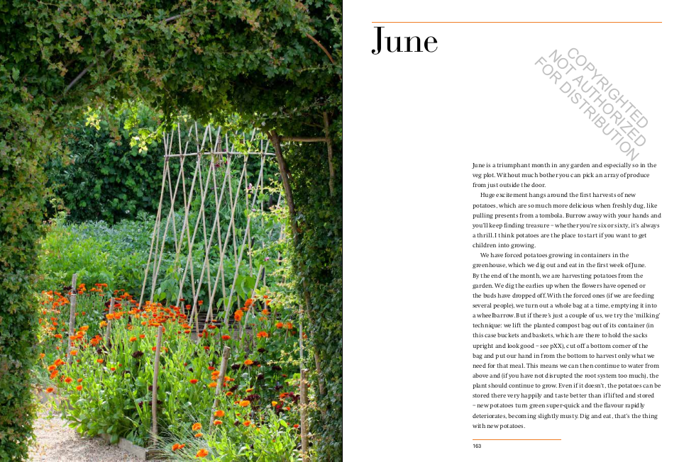 A Year in the Edible Garden: A Month-by-Month Guide to Growing and Harvesting Vegetables, Herbs, and Edible Flowers
