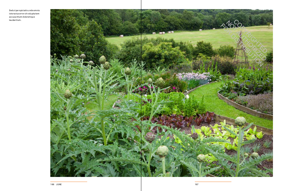 A Year in the Edible Garden: A Month-by-Month Guide to Growing and Harvesting Vegetables, Herbs, and Edible Flowers