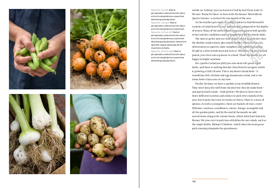 A Year in the Edible Garden: A Month-by-Month Guide to Growing and Harvesting Vegetables, Herbs, and Edible Flowers