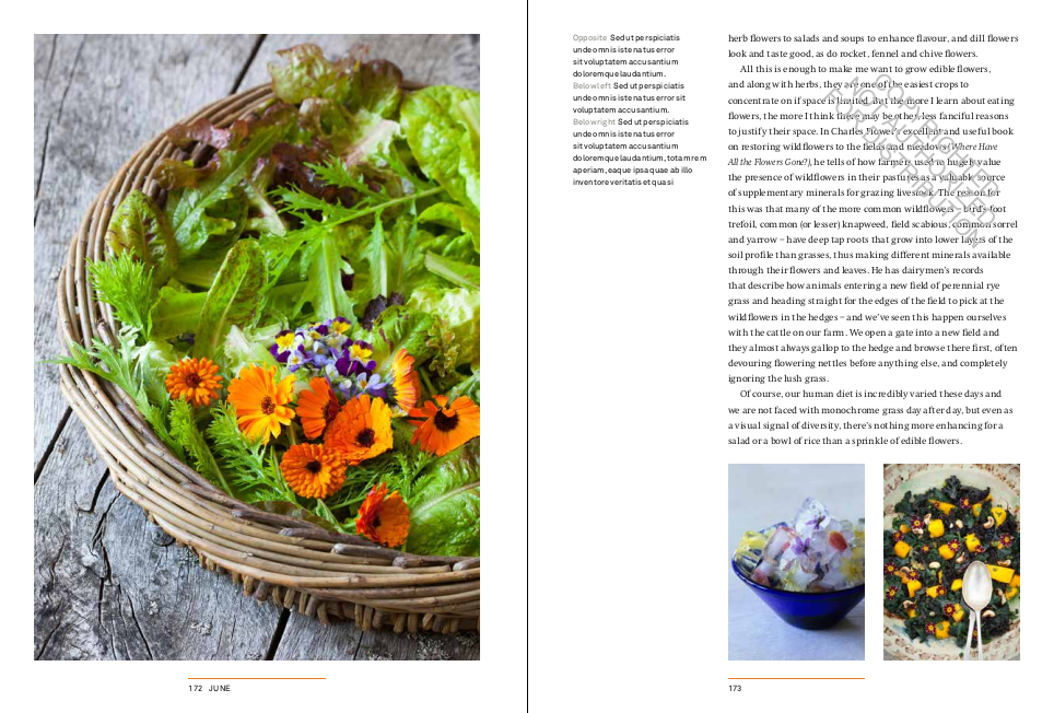 A Year in the Edible Garden: A Month-by-Month Guide to Growing and Harvesting Vegetables, Herbs, and Edible Flowers