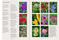 A Year in the Edible Garden: A Month-by-Month Guide to Growing and Harvesting Vegetables, Herbs, and Edible Flowers