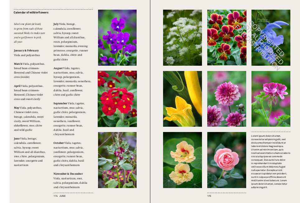 A Year in the Edible Garden: A Month-by-Month Guide to Growing and Harvesting Vegetables, Herbs, and Edible Flowers