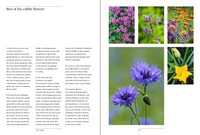 A Year in the Edible Garden: A Month-by-Month Guide to Growing and Harvesting Vegetables, Herbs, and Edible Flowers