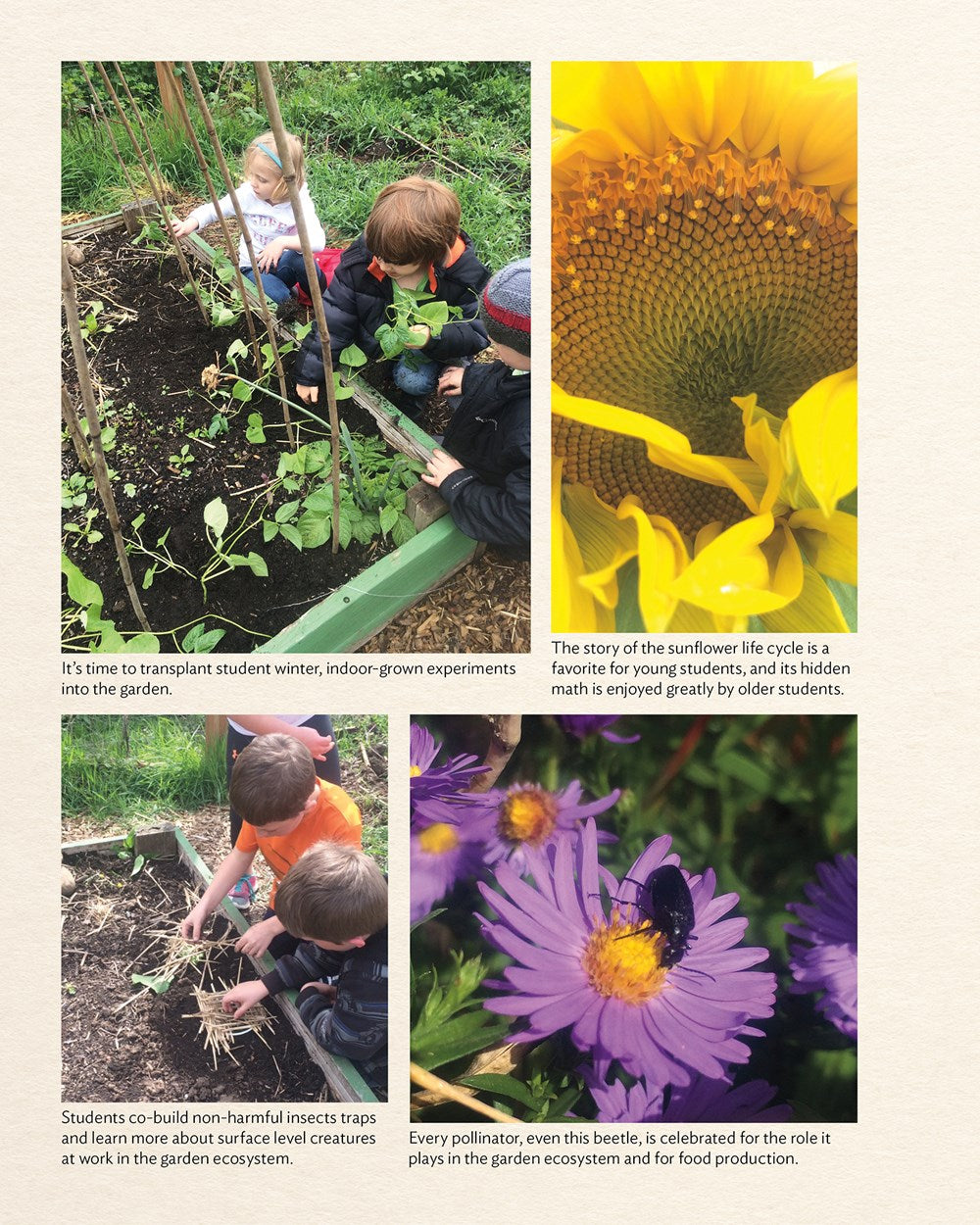 The School Garden Curriculum