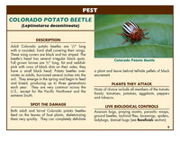 Good Bug Bad Bug