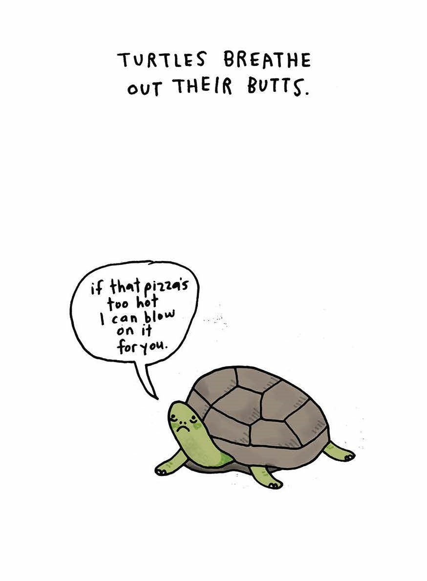 Sad Animal Facts