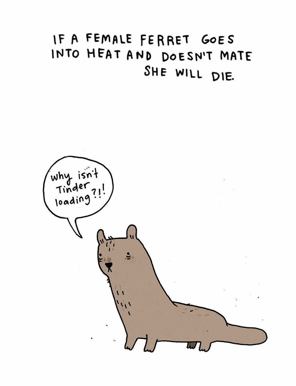 Sad Animal Facts