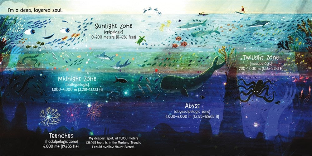 Ocean! Waves for All