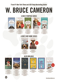 Lily to the Rescue: Dog Dog Goose