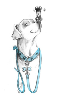 Lily to the Rescue: Foxes in a Fix