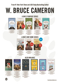 Lily to the Rescue: Foxes in a Fix