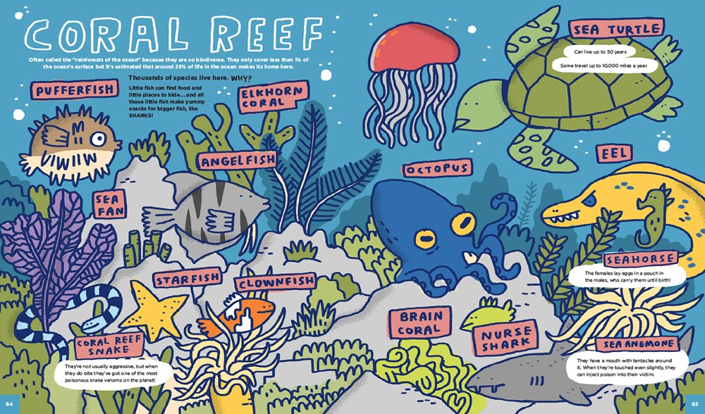 Everything Awesome About Sharks and Other Underwater Creatures!