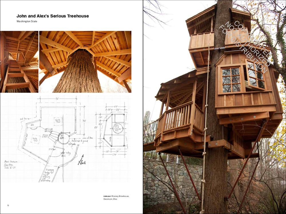 Be in a Treehouse