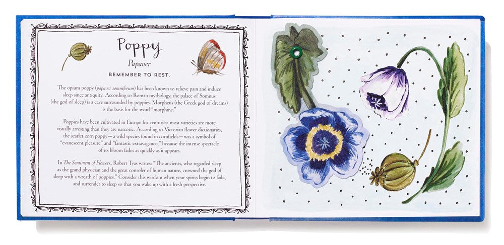 Thinking of You (UpLifting Editions)