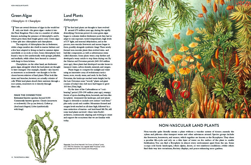 The Botanical Bible