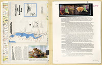 The X-Files: The Official Archives