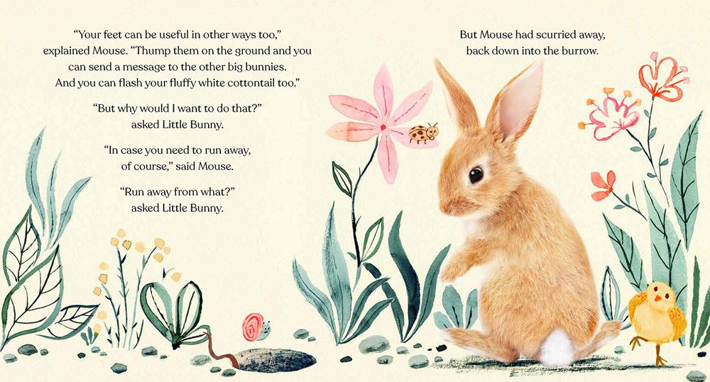 Goodnight, Little Bunny