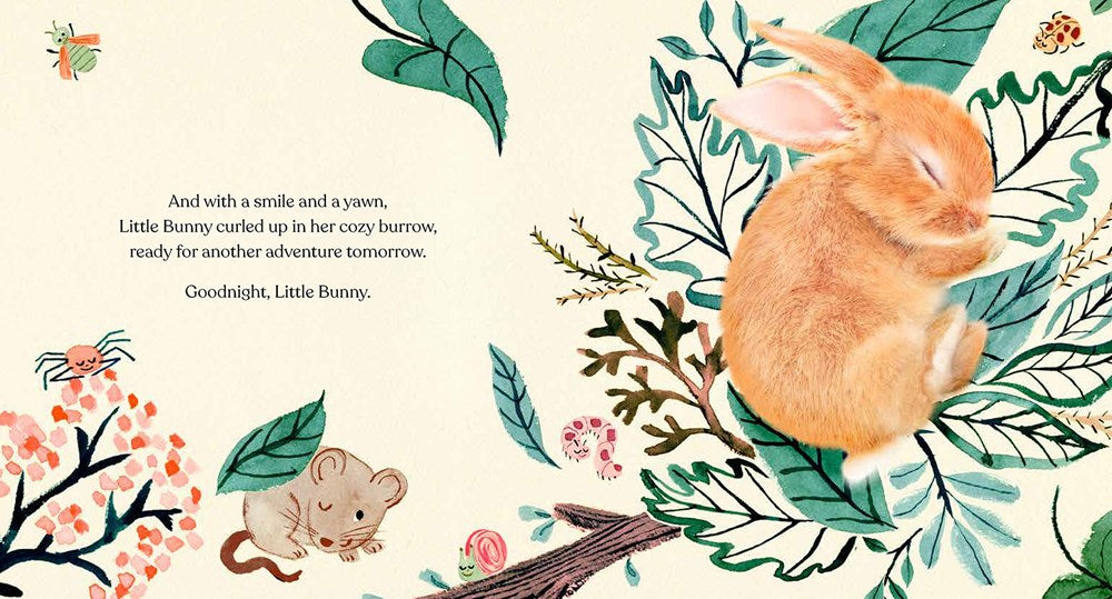 Goodnight, Little Bunny