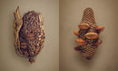The Hidden Beauty of Seeds & Fruits
