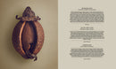The Hidden Beauty of Seeds & Fruits