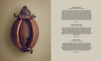 The Hidden Beauty of Seeds & Fruits