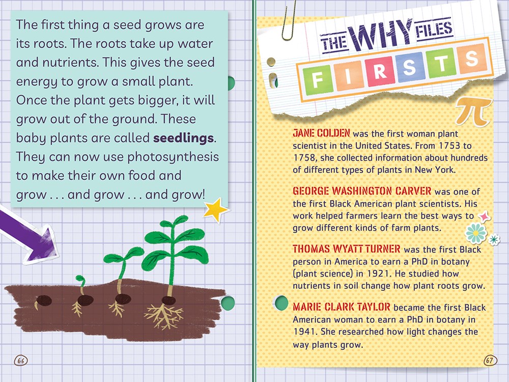 All About Plants! (Ada Twist, Scientist: The Why Files #2)