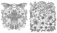 Daydreams Coloring Book