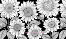 Twilight Garden Coloring Book
