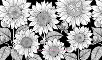 Twilight Garden Coloring Book