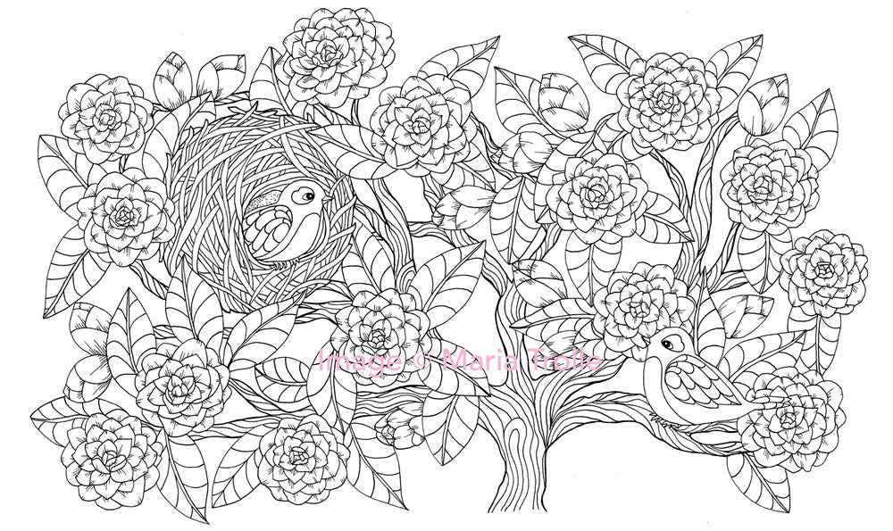 Twilight Garden Coloring Book