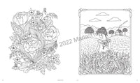 Maria Trolle's Universe Coloring Book
