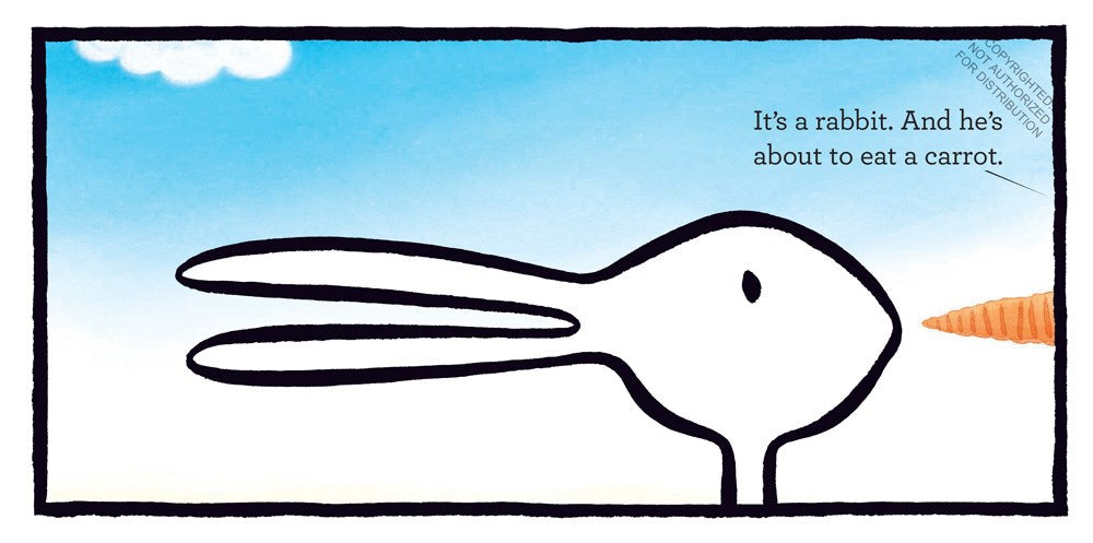 Duck! Rabbit!