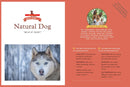 Meet Your Dog